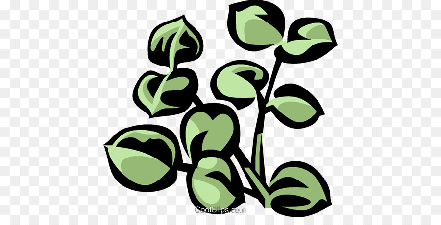 Tige De La Plante，Feuille PNG