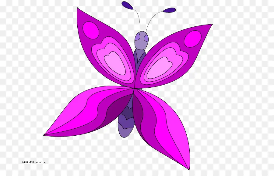 Papillon Violet，Insecte PNG