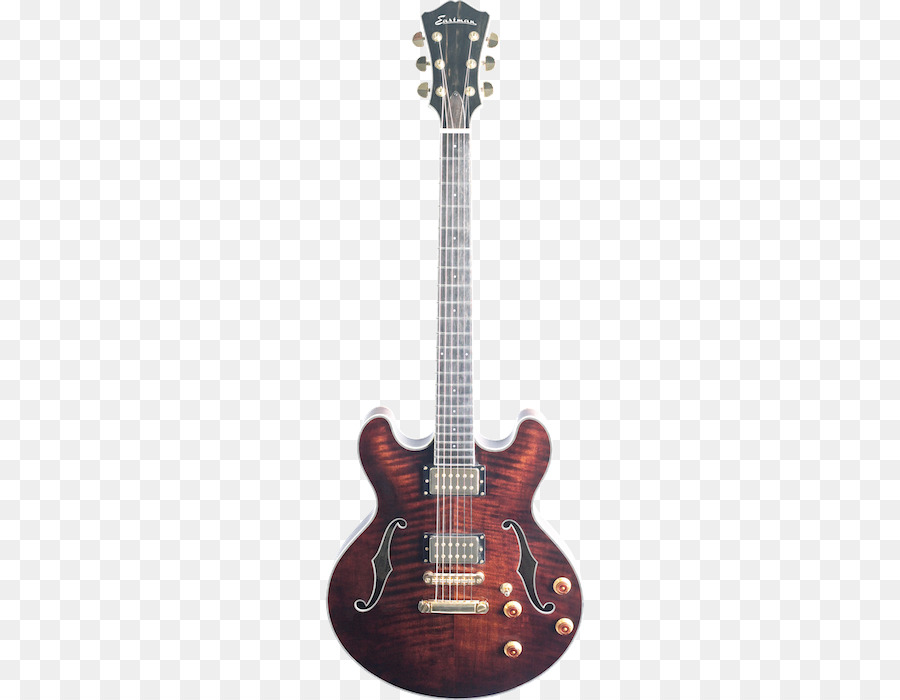 Guitare électrique，Musique PNG