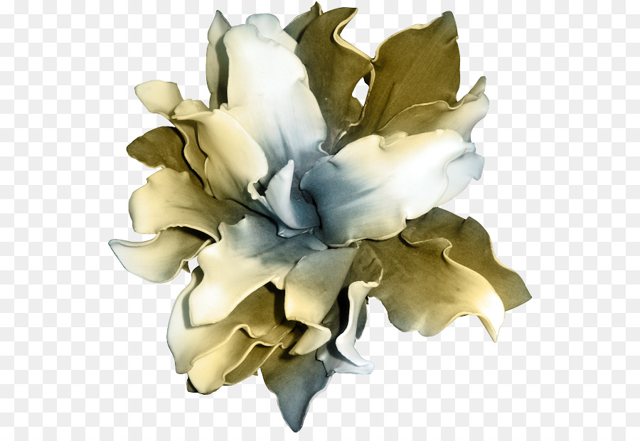 Fleur，Polyvore PNG