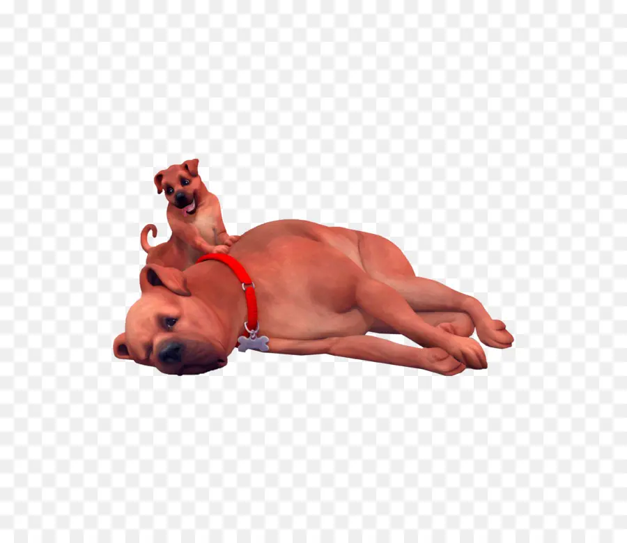 Chiens，Chiot PNG