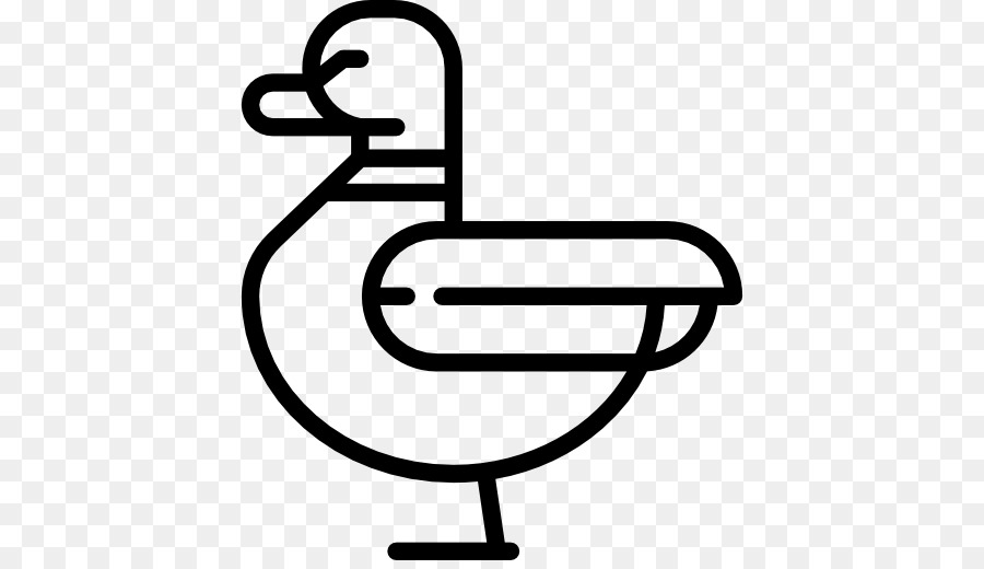 Canard，Colvert PNG