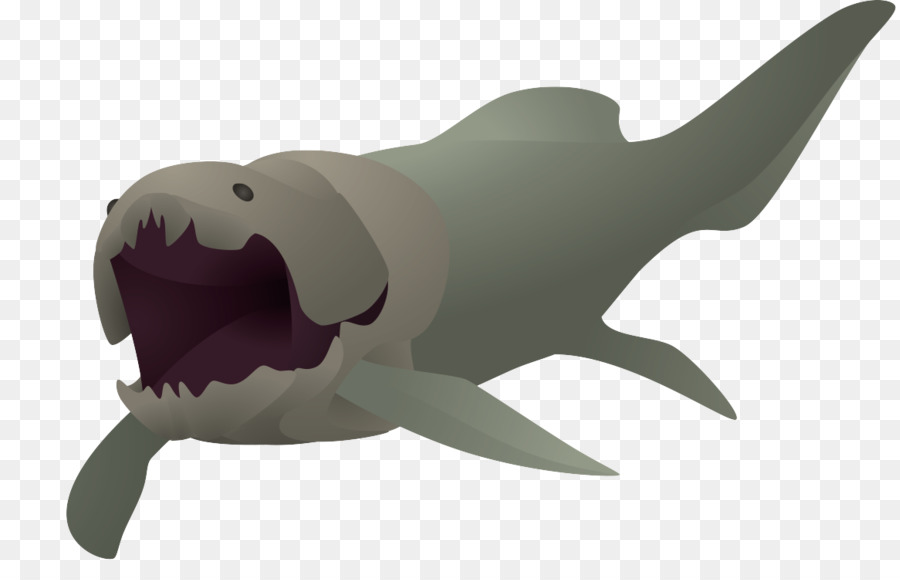 Requin，Deviantart PNG