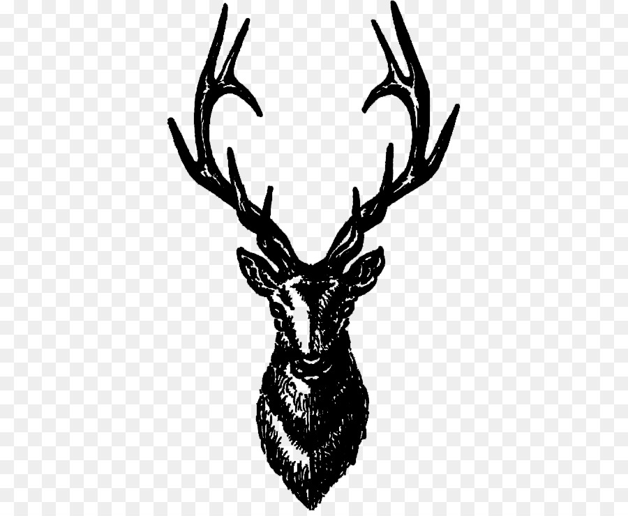 Tête De Cerf，Bois PNG