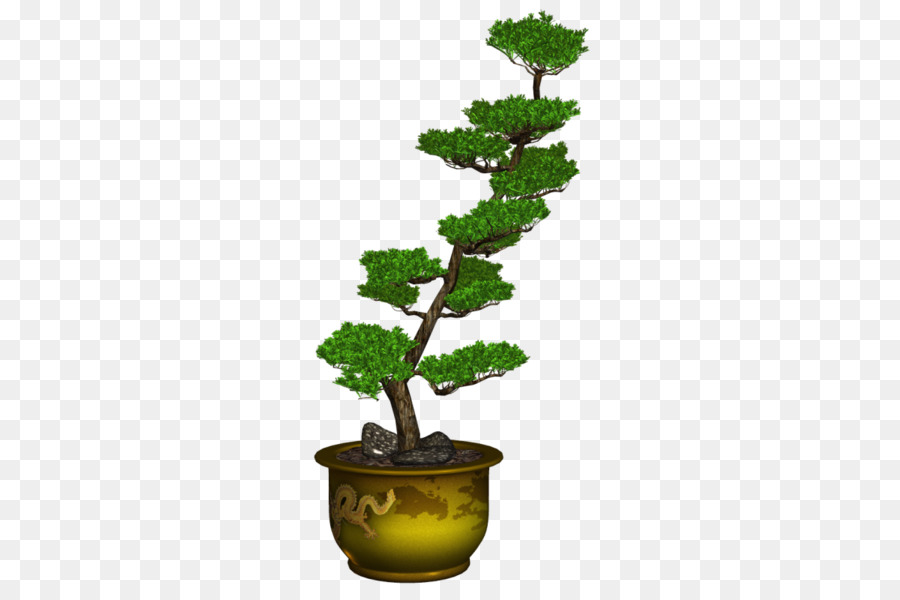 Sageretia Theezans，Flowerpot PNG