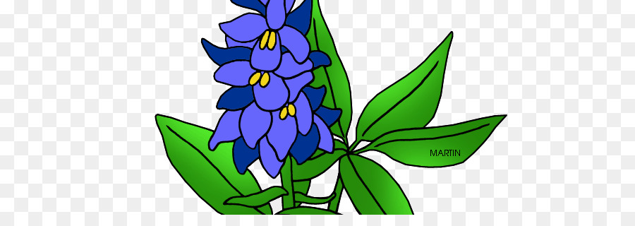 Bluebonnet，Texas PNG