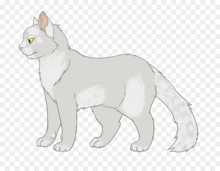 Chat，Animal De Compagnie PNG