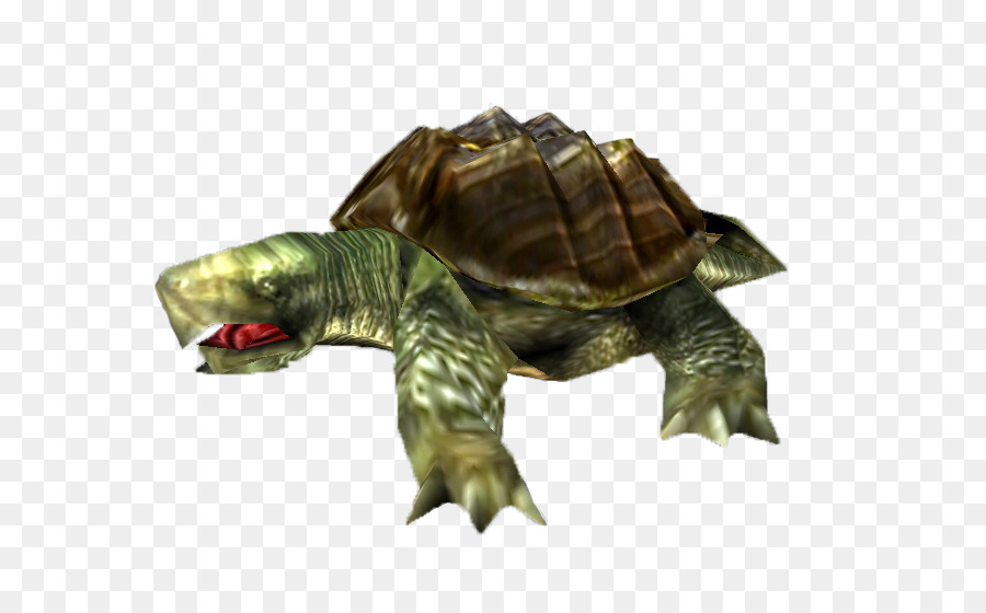 Tortue，Reptile PNG