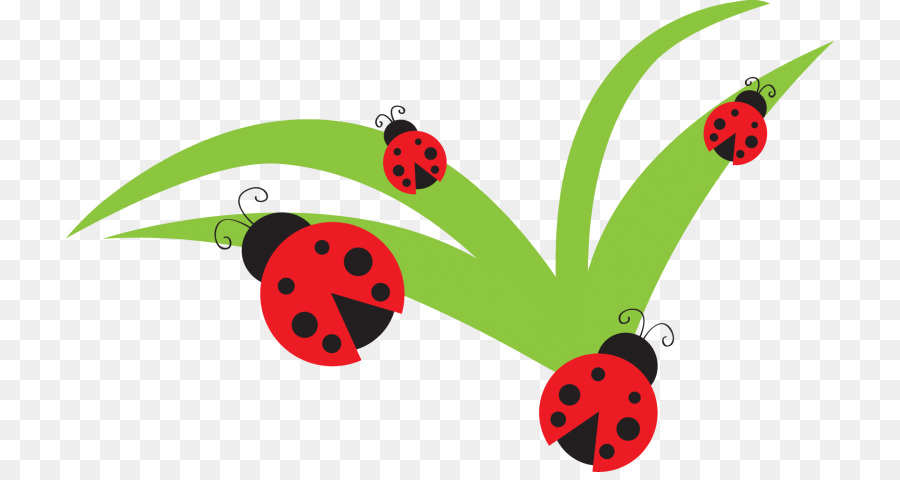 Coccinelle，Feuille PNG