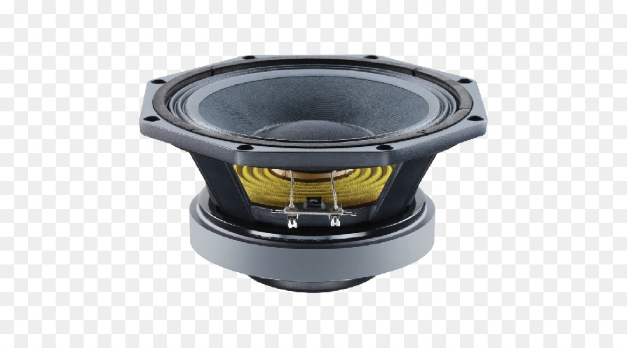 Conférencier，Audio PNG