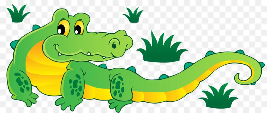 Crocodile，Reptile PNG