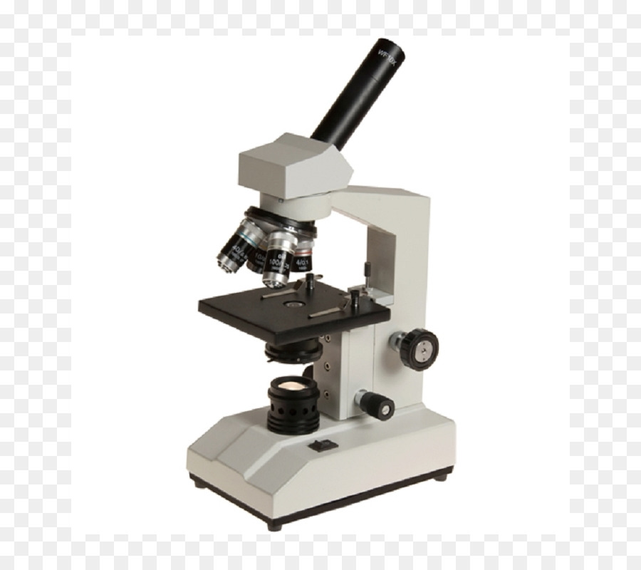 Microscope，Science PNG