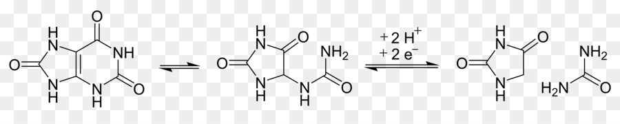 Hydantoïne，Composé Hétérocyclique PNG