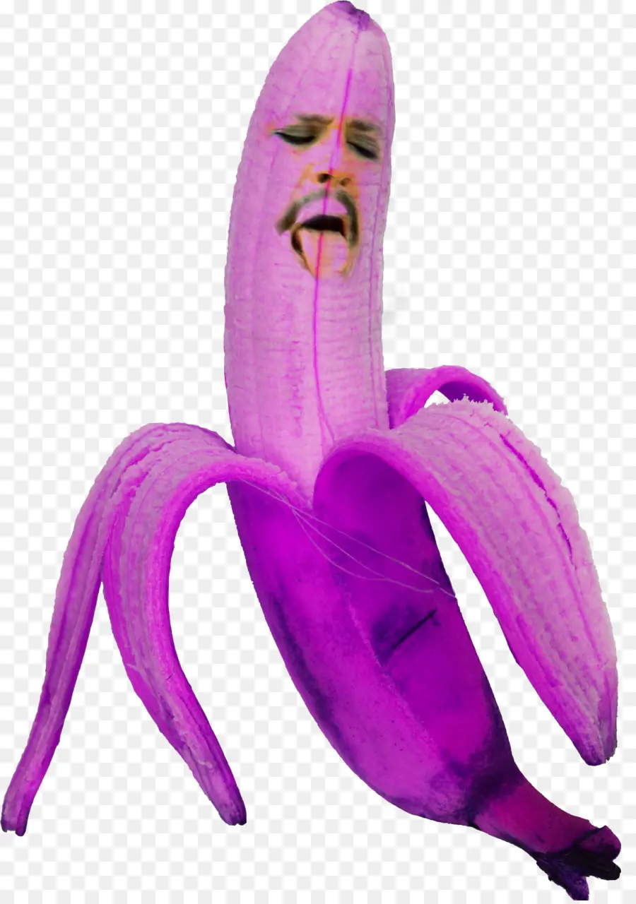 Banane Violette，Banane PNG