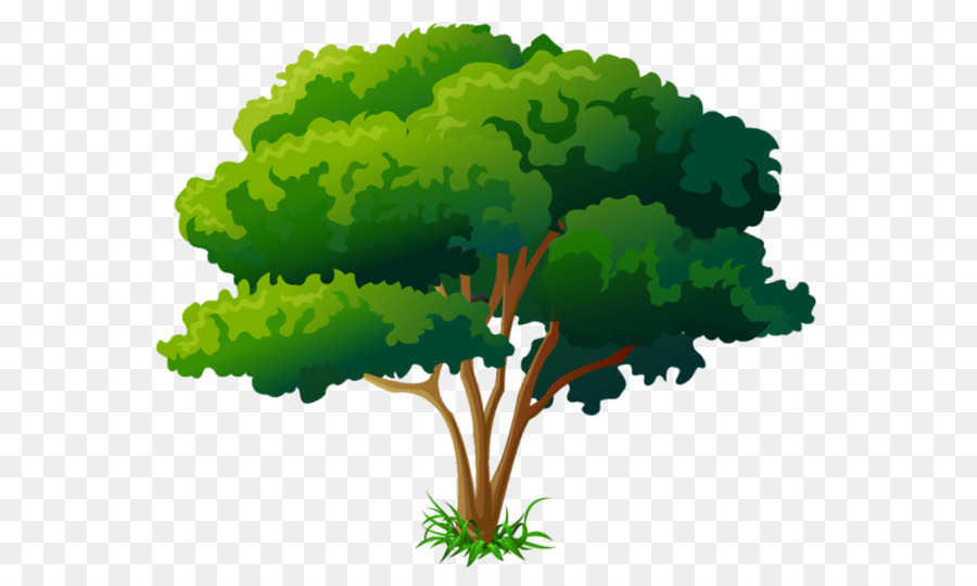 Arbre，Violet PNG