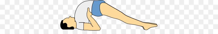 Sarvangasana，Yoga PNG