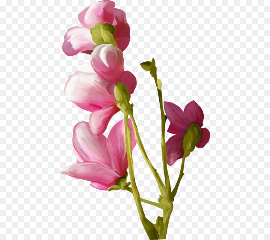 Fleurs Roses，Fleurs PNG