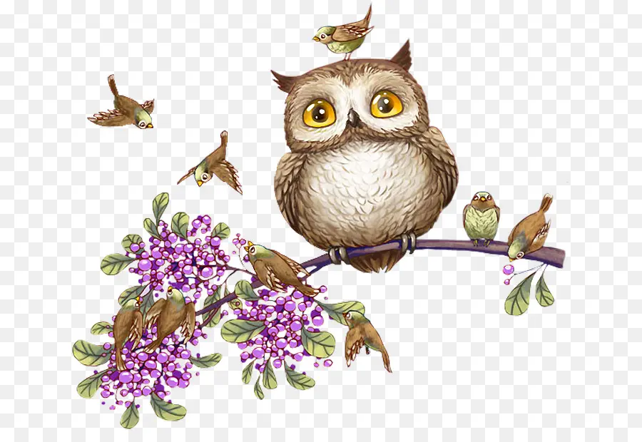 Chouette Sur Branche，Hibou PNG