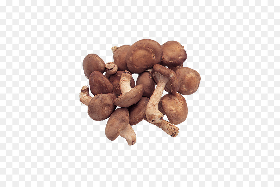 Champignons，Légume PNG