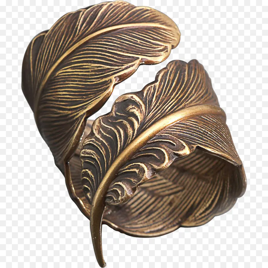 Bague Plume，Bronze PNG