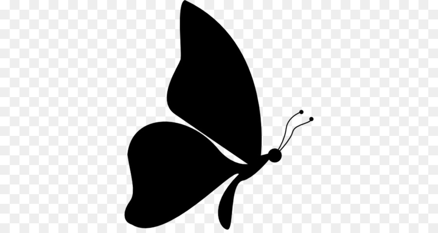 Papillon，Ailes PNG