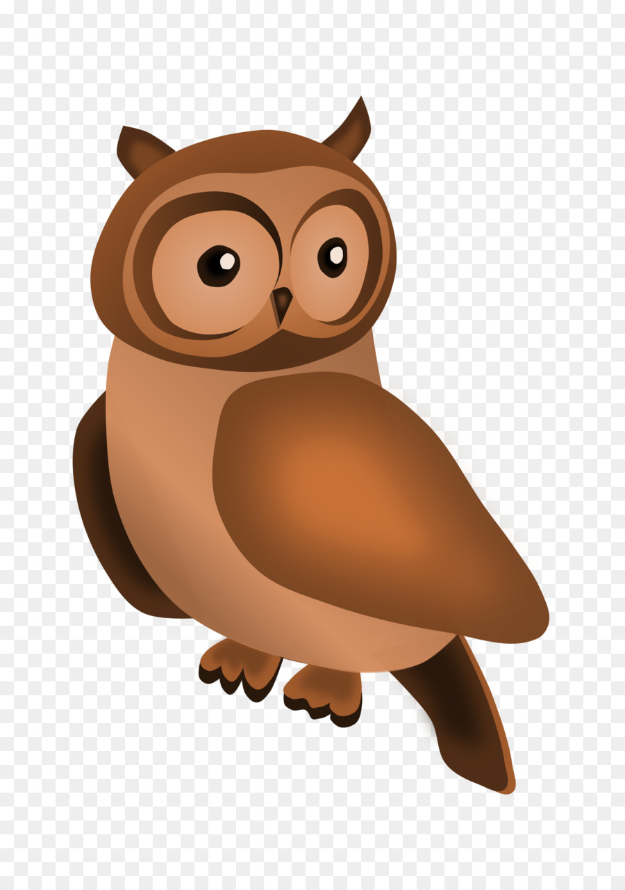 Hibou，Oiseau PNG