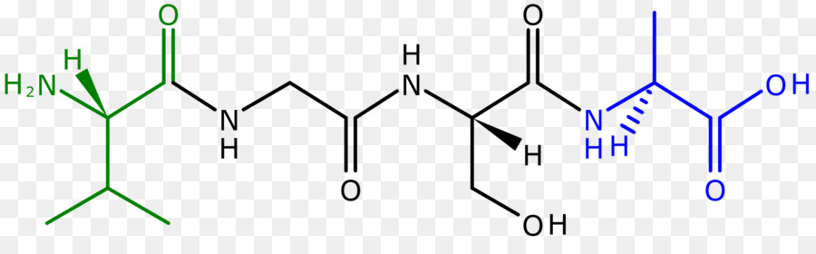 Peptidiques，La Liaison Peptidique PNG