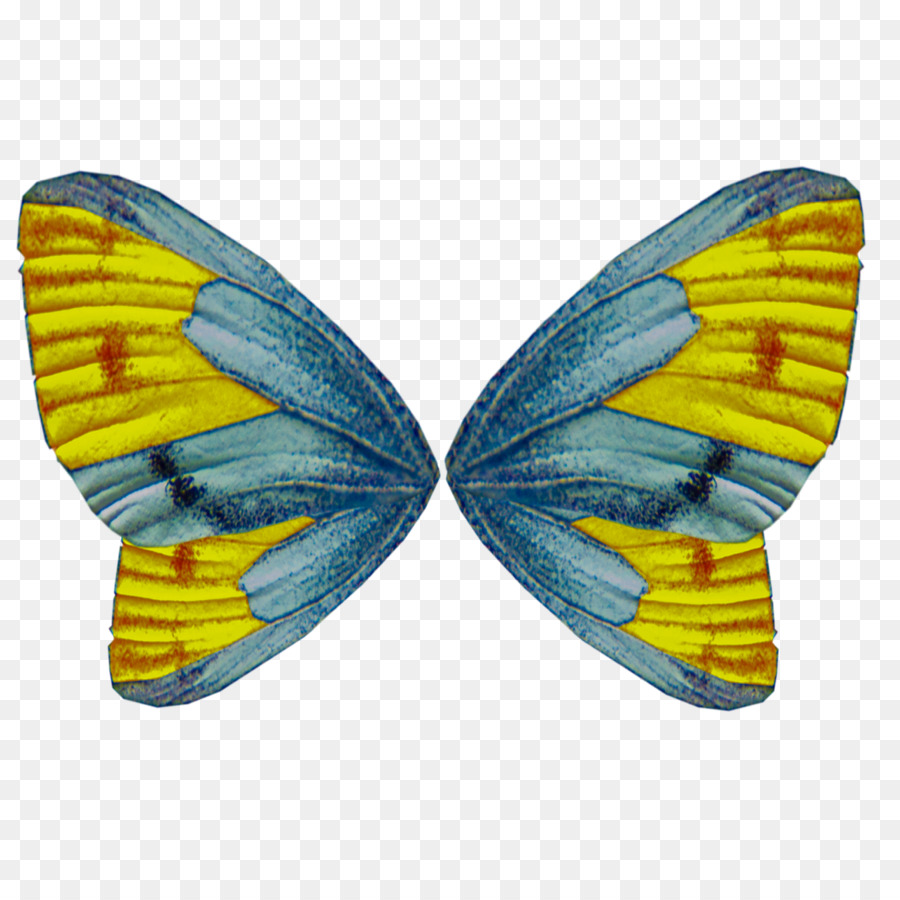 Ailes De Papillon，Insecte PNG