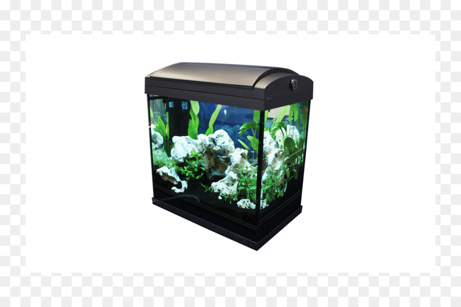 Aquarium，Les Aquariums PNG