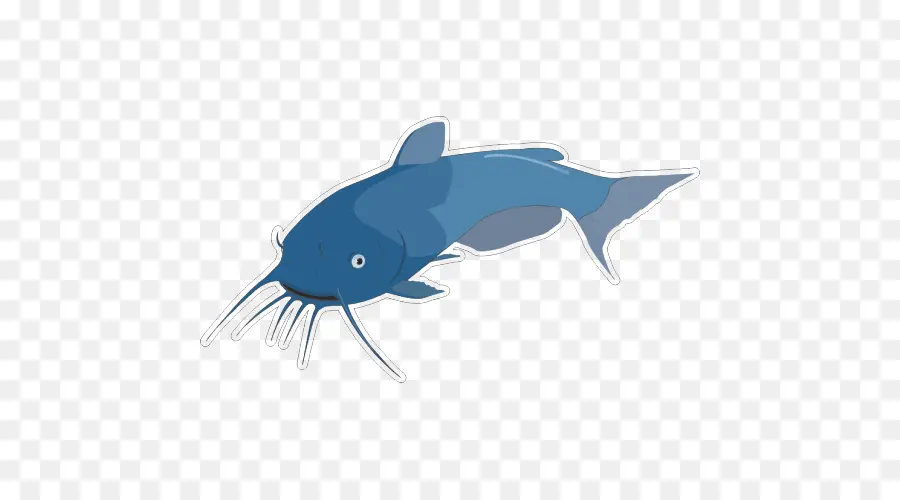 Poisson，Aquatique PNG