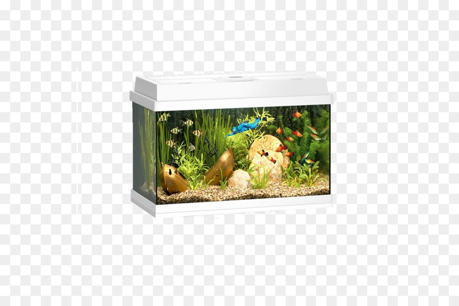 Aquarium，Poisson PNG