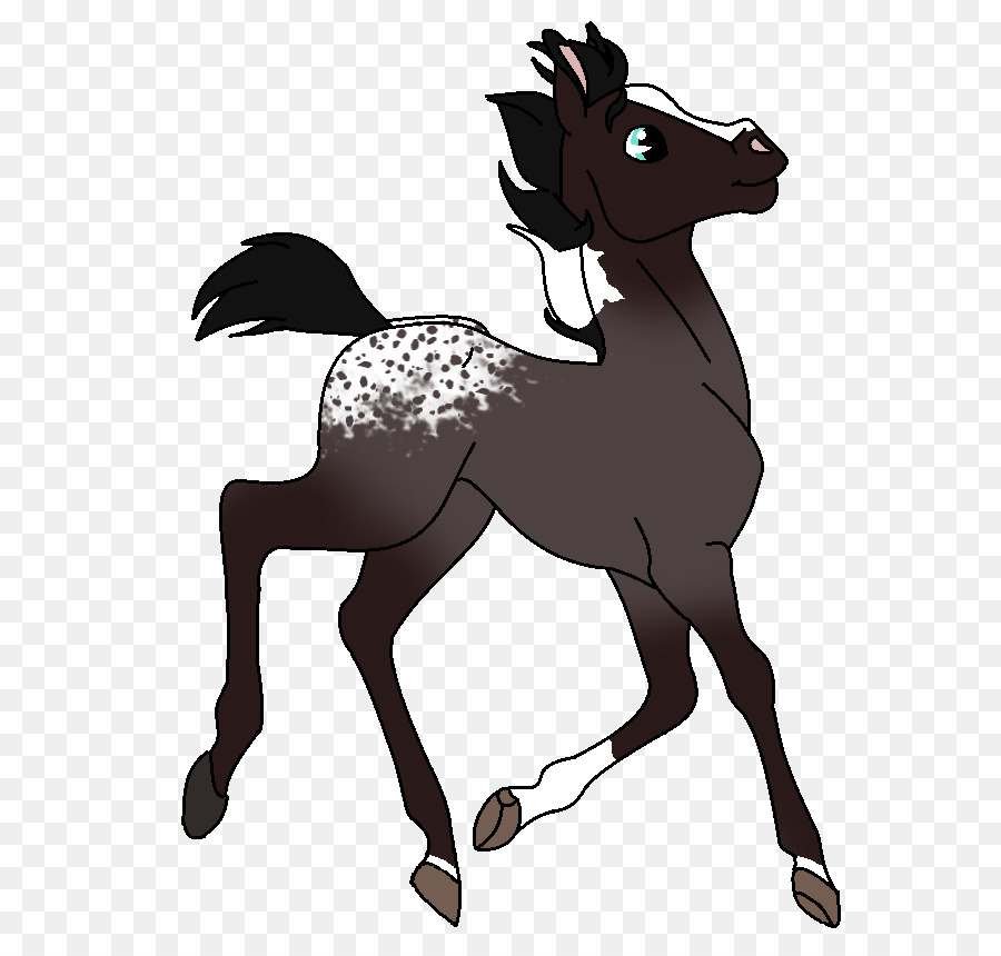 Poney，Poulain PNG