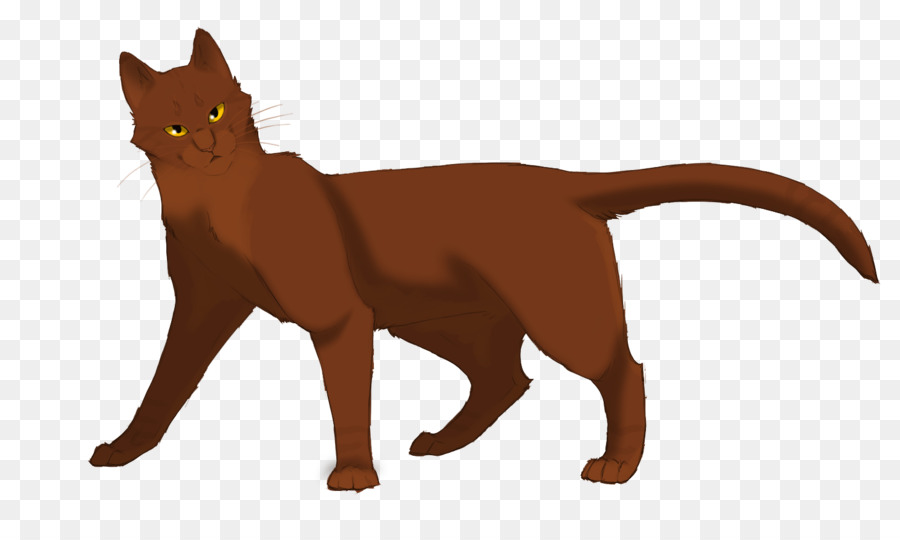 Chat，Animal De Compagnie PNG