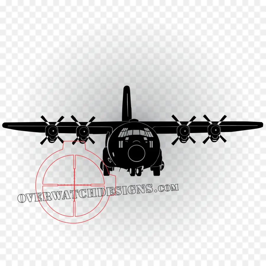 Lockheed C130 Hercules，Avion PNG