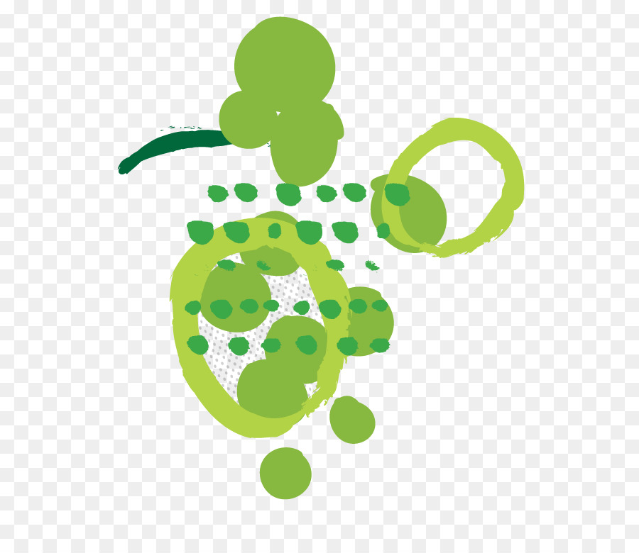 Vin，Muscadine PNG