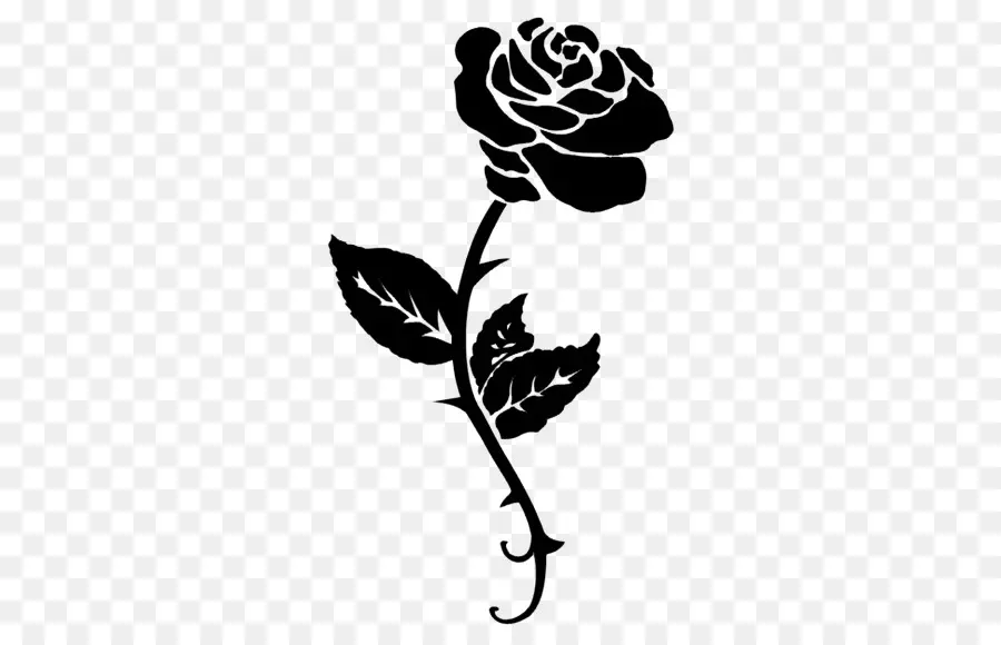 Rose Noire Et Blanche，Usine PNG