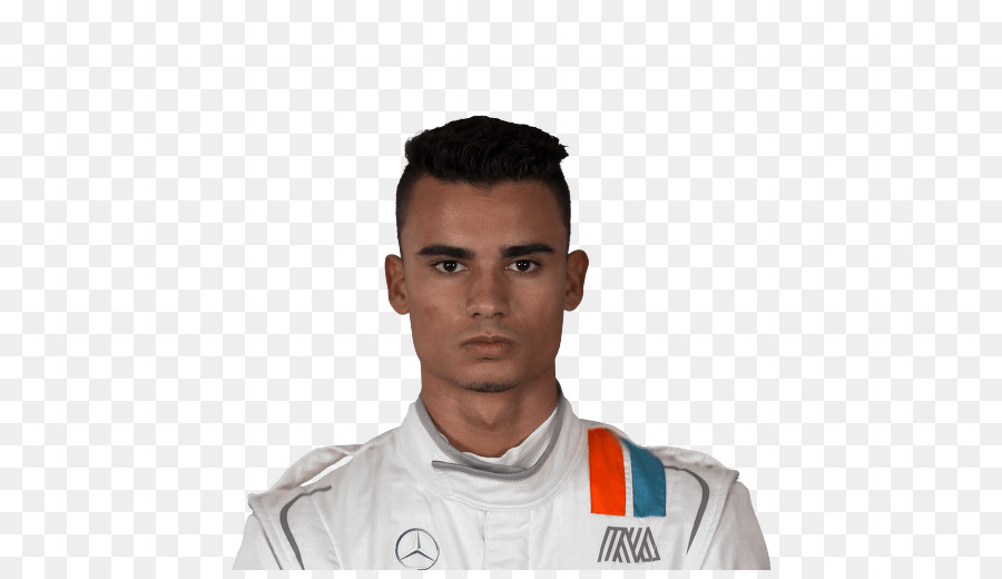 Pascal Wehrlein，Coupe Du Monde Fifa 2010 PNG