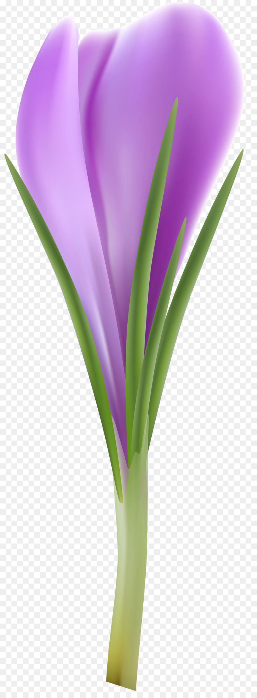 Fleur，Trombone PNG