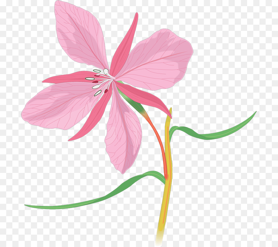 Fleur Rose，Feuilles PNG