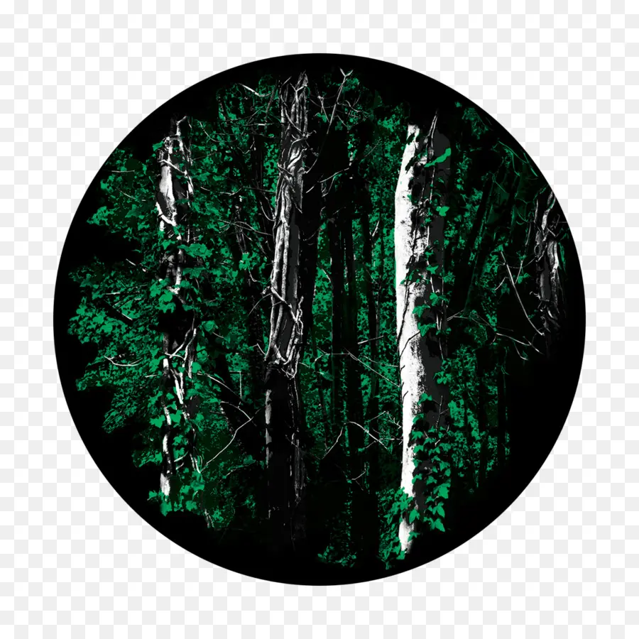 Illustration De La Forêt，Arbres PNG