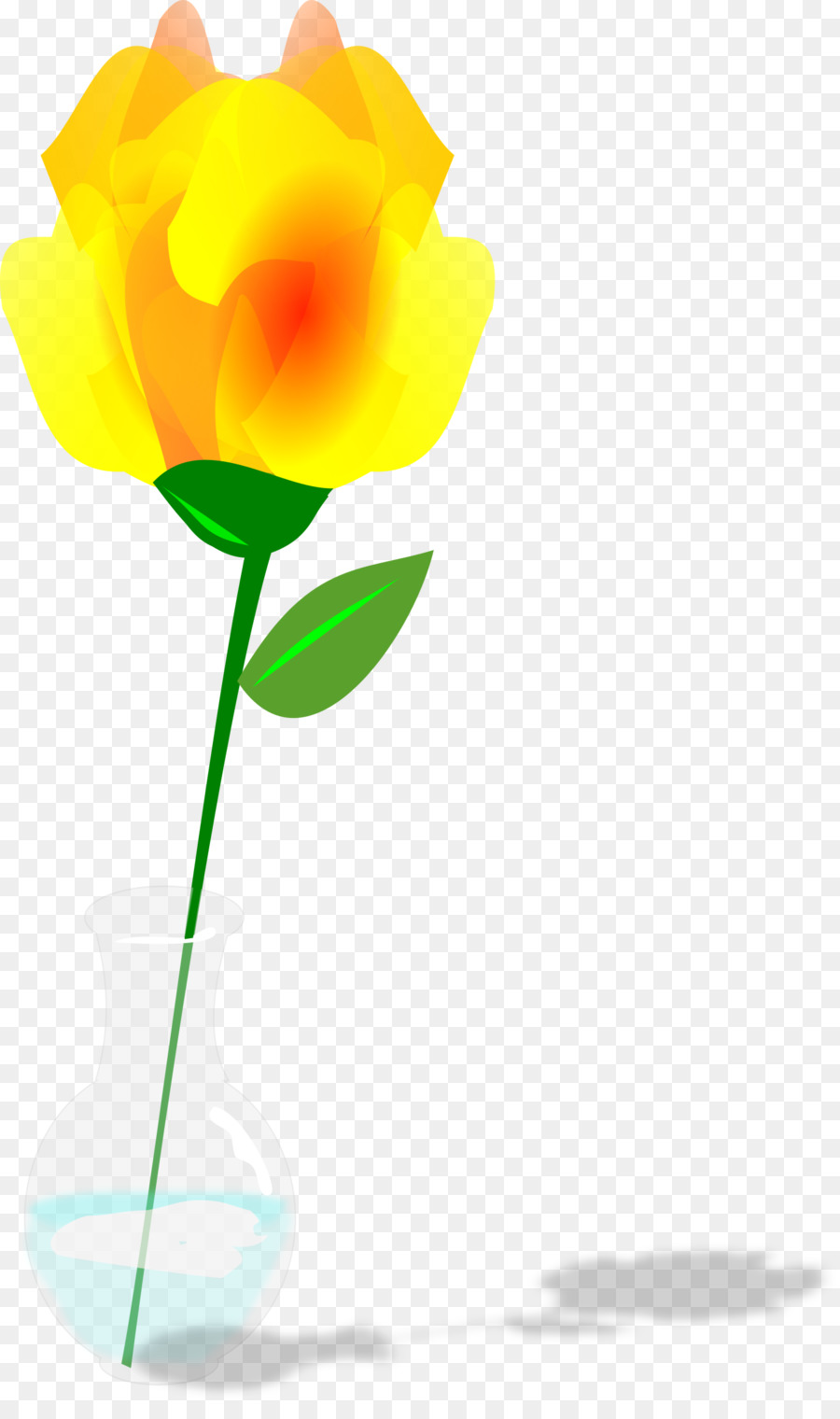 Jaune，Fleur PNG