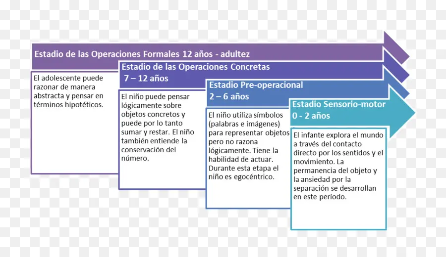 Les étapes Du Développement Cognitif De Piaget，Cognitif PNG