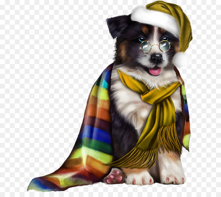 Chiot Mignon，Chien PNG