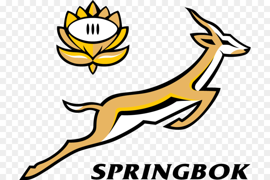 Springbok，Animal PNG