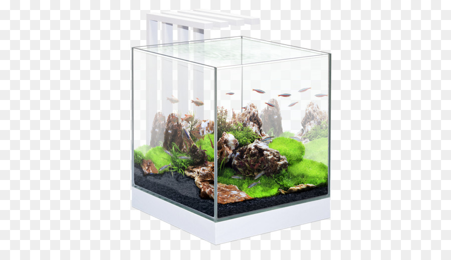 Aquarium，Poisson PNG