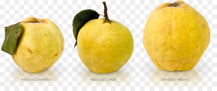 Marmelade，Fruits PNG