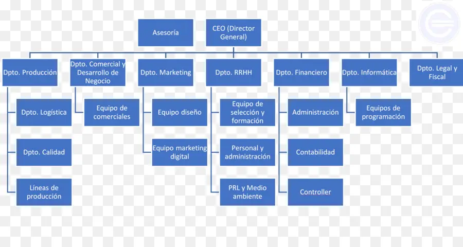 Organigramme，Structure De L'entreprise PNG