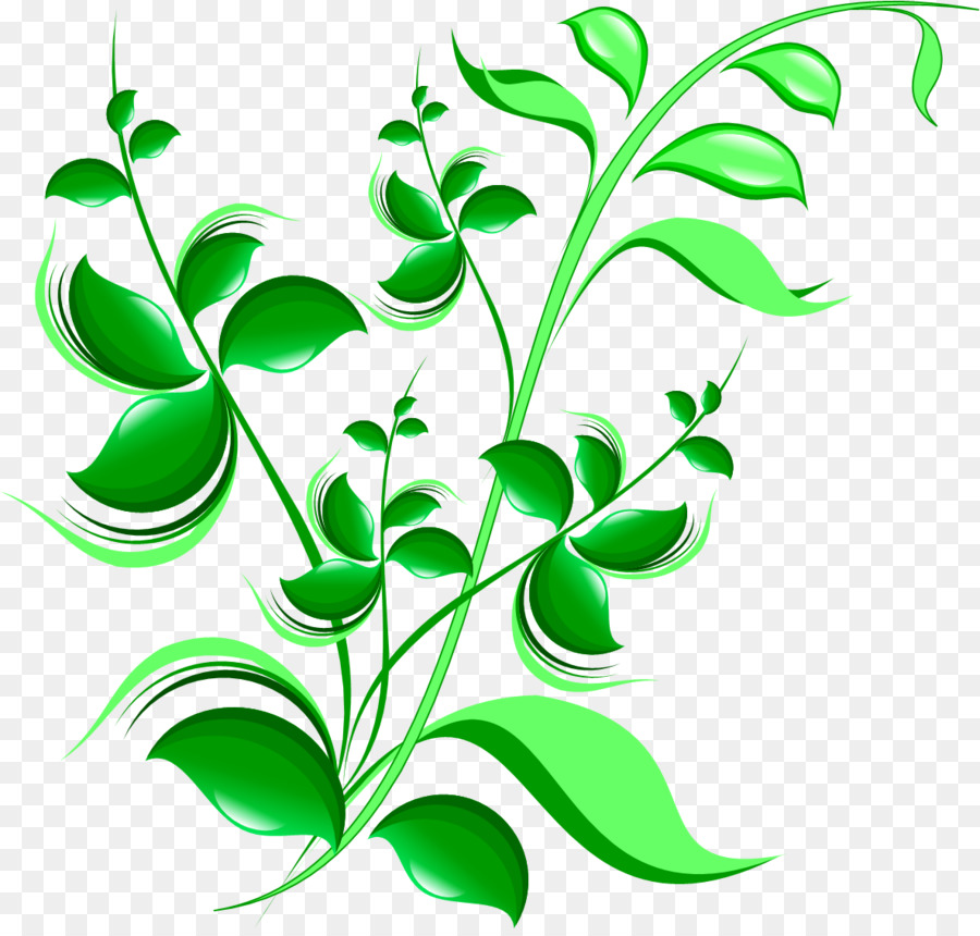 Plante Abstraite，Feuilles PNG