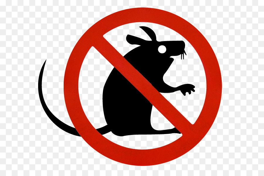 Pas De Rat，Interdiction PNG