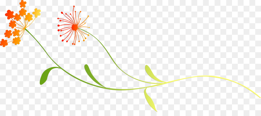 Conception Florale，Fleur PNG